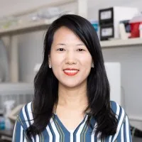 Li Sun
