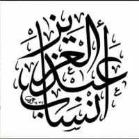 Anssab Bin ajlan