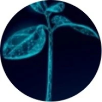 AiSprouts VC