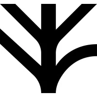 Alder