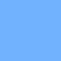Automattic
