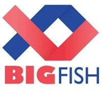 Big Fish Ventures
