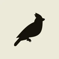 Black Jays Ventures