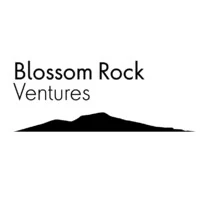 Blossom Rock Ventures