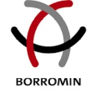 Borromin Capital Management