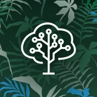 Brainforest