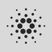 Cardano Foundation