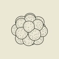 Cloudberry Ventures
