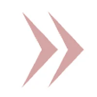 Elder Ventures