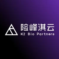 K2 Venture Partners 险峰淇云