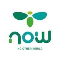 NOW Venture Studio