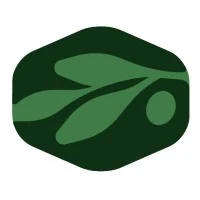 Olive Capital