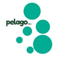 Pelago