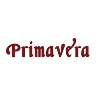 Primavera Capital Group