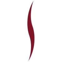 Satya Capital