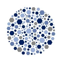 Savant Foundry