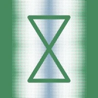 Vitalbridge