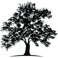 White Oak Global Advisors