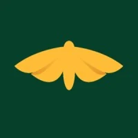 Woolly Bear Capital