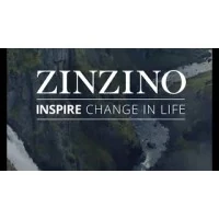 Zinzino